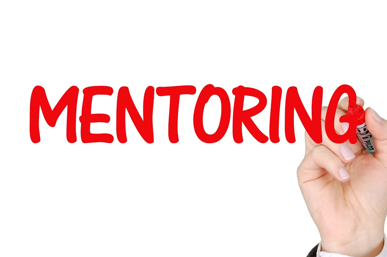 Formation et mentorat : indispensable pour un avocat collaborateur ?