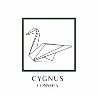 Cygnus Conseils