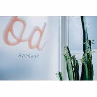 BD AVOCATES