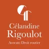 Cabinet Rigoulot Avocat