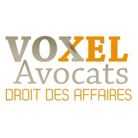 Voxel Avocats