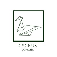 Cygnus Conseils