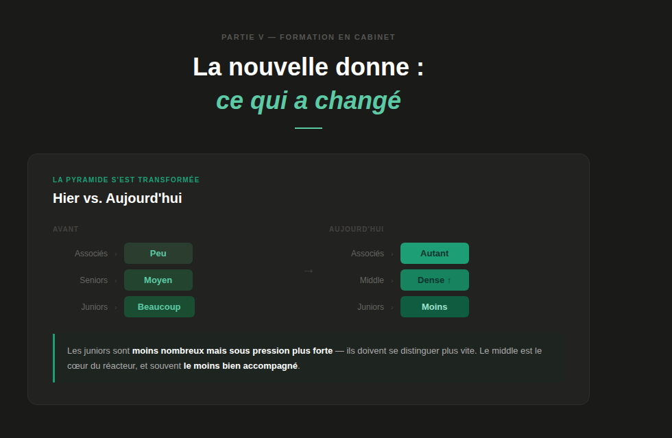 Pyramide de formation