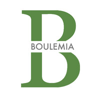 Boulemia Avocat