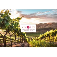 Vinolex