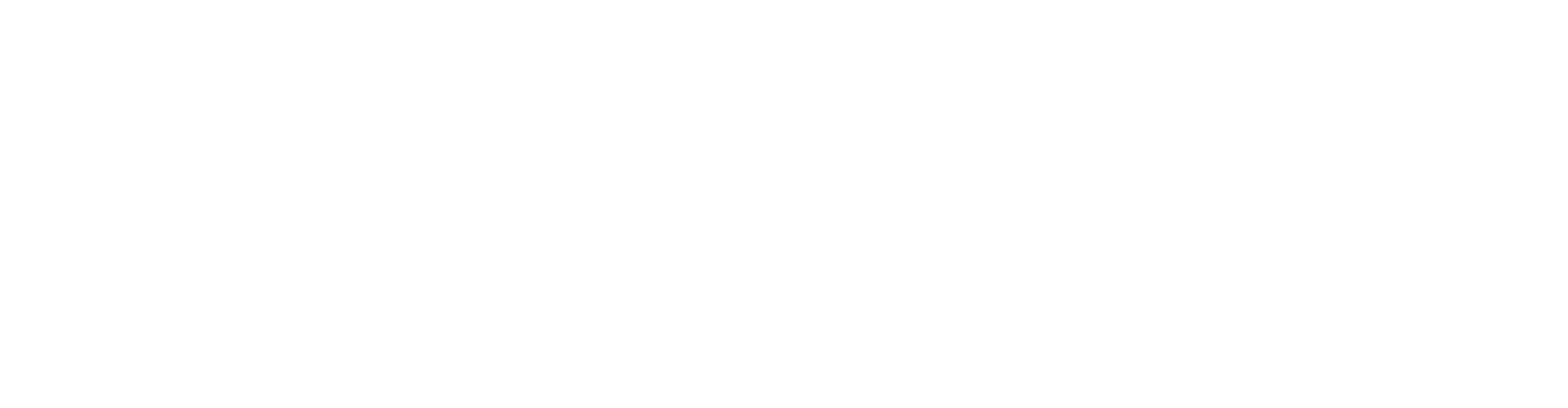 AI.Gov Logo