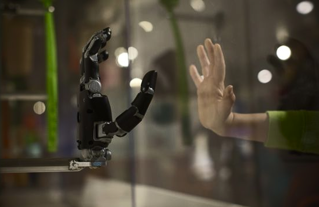 AI Education 
