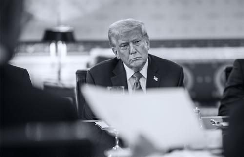 President Donald J. Trump - AI Fact Sheets