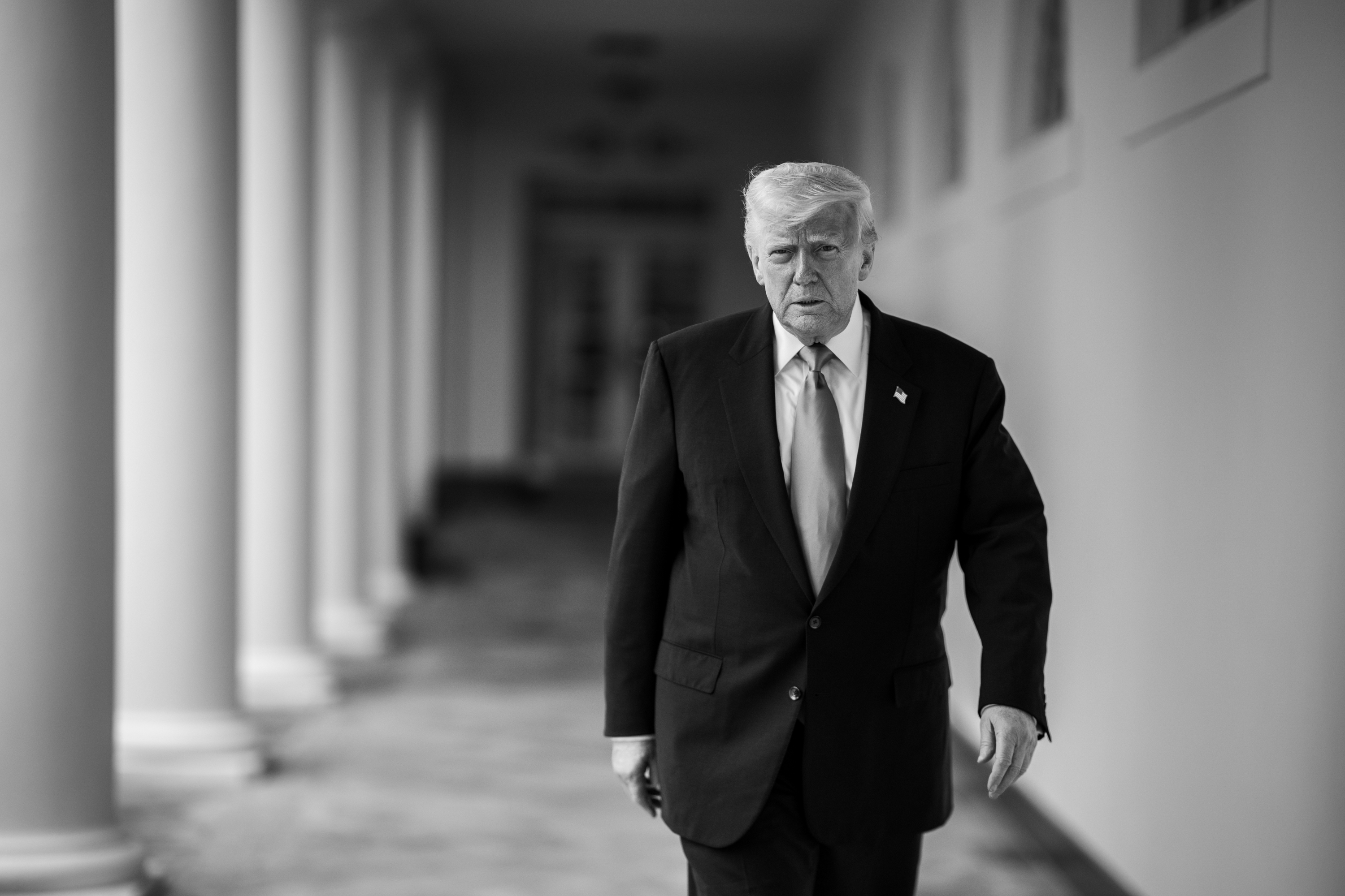 President Donald Trump - AI.Gov