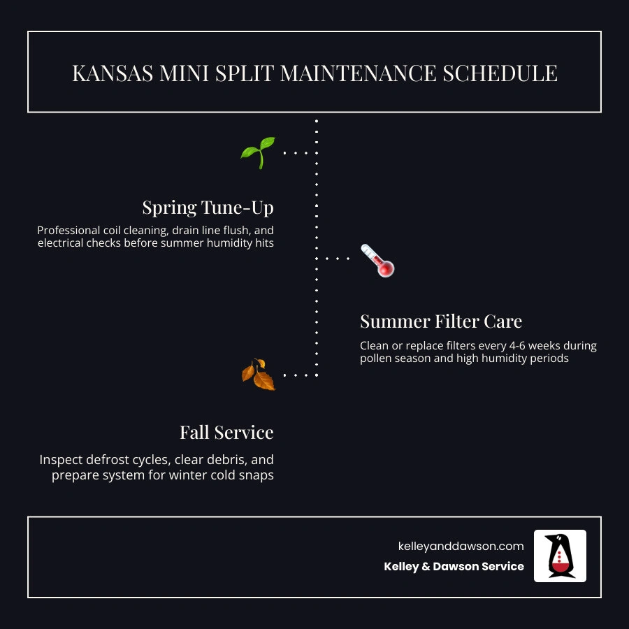 Mini split maintenance tips for Kansas homeowners infographic showing seasonal DIY tasks and professional service schedule