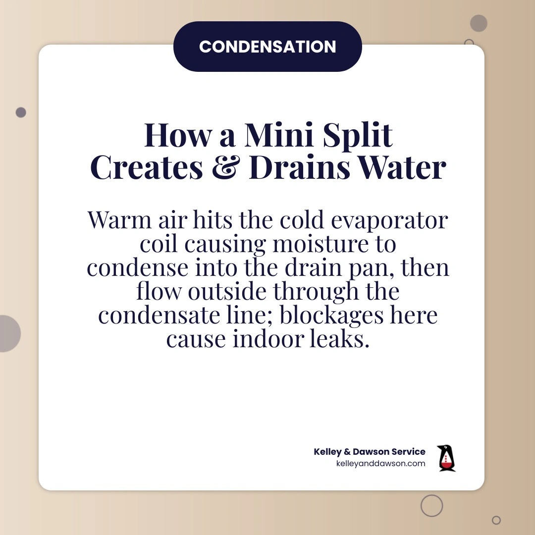 Infographic showing how a mini split produces condensation during cooling and routes it through a drain pan and condensate