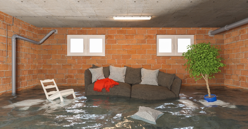 image of completed apartment renovation