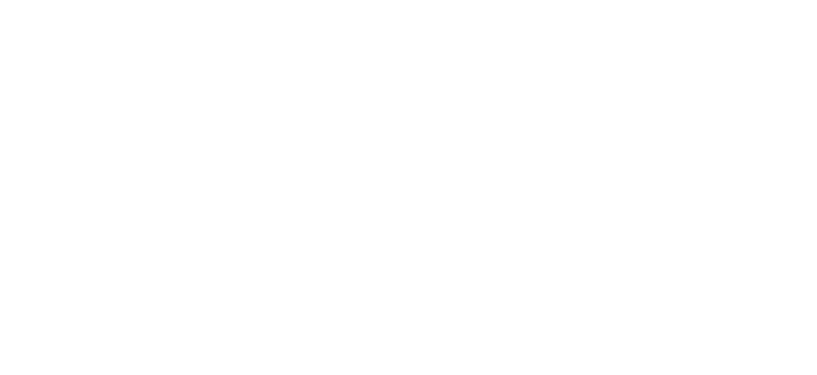 Plero LLC Logo