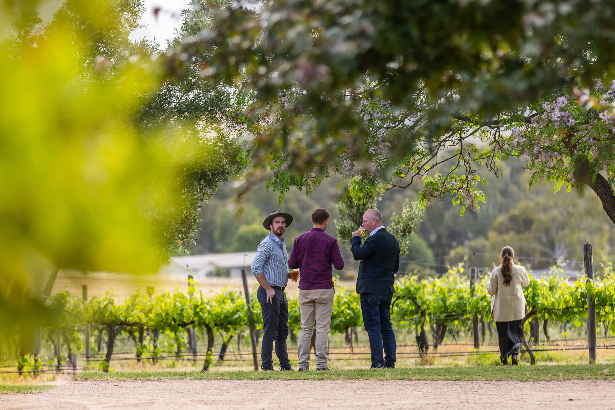 2025 Digital Agrifood Summit Gulbali @ Sunset