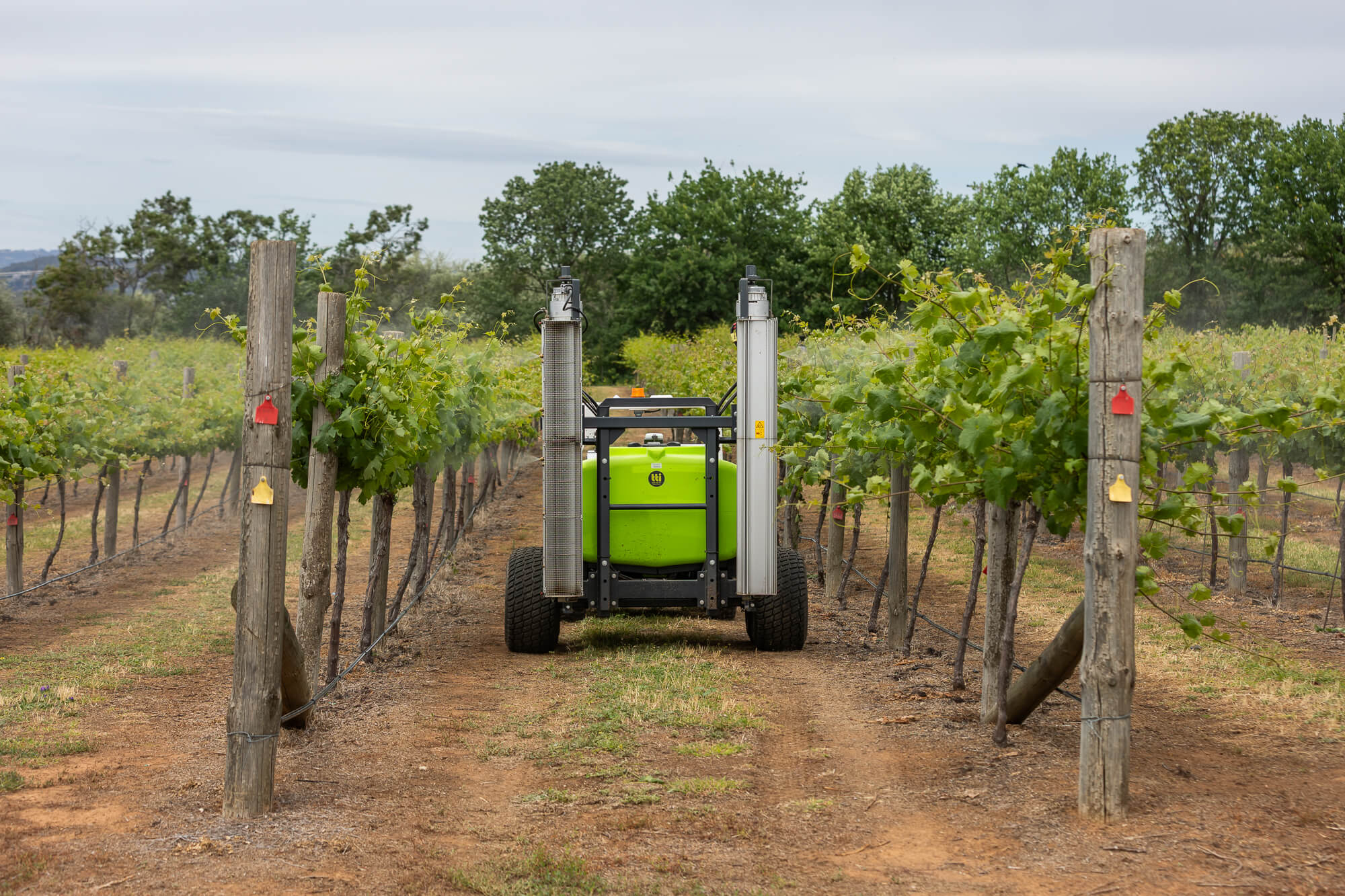 2025 Digital Agrifood Summit Viticulture Immersion