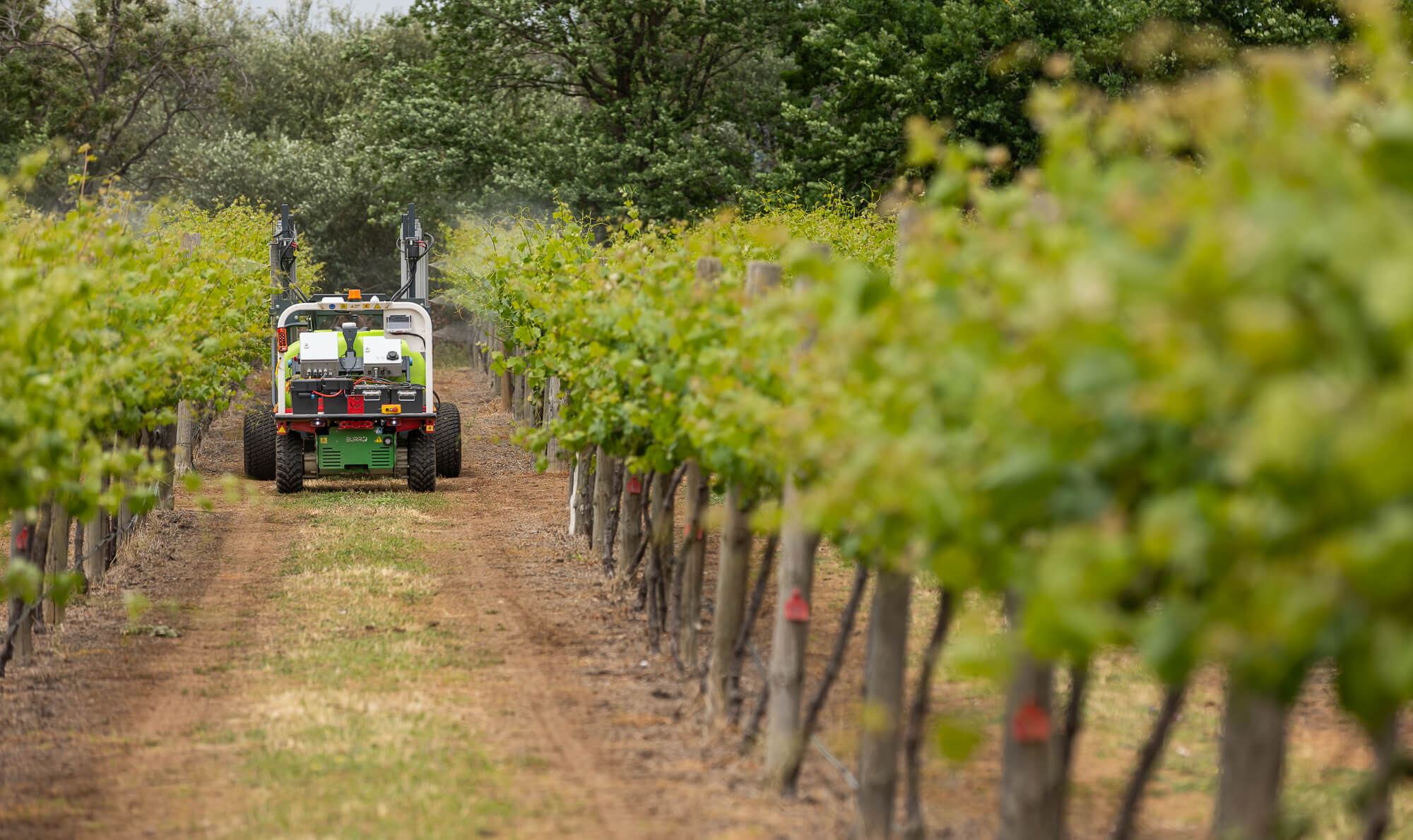 2025 Digital Agrifood Summit Viticulture Immersion