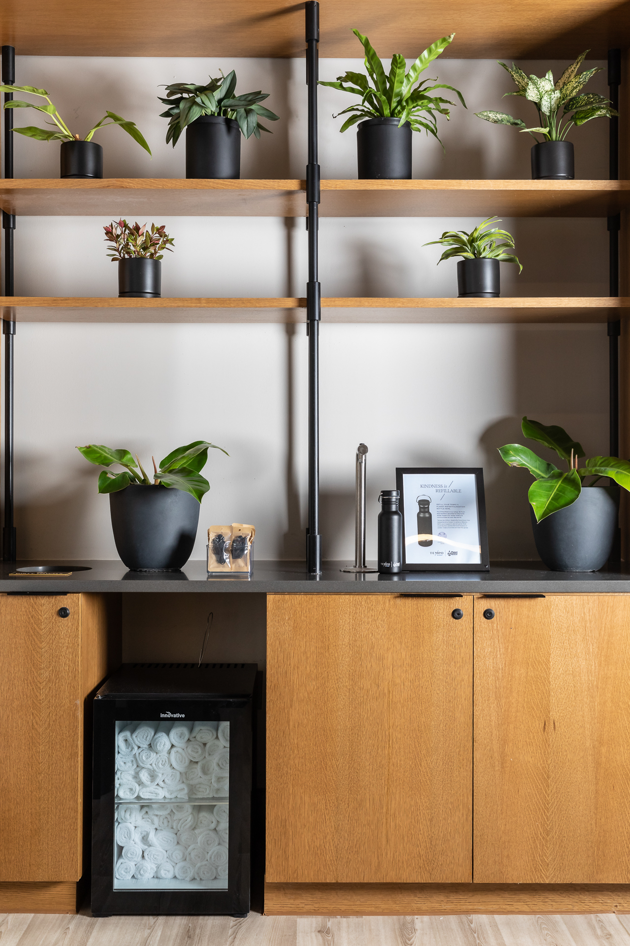 commercial photography of shelves and plants in a hotel gym