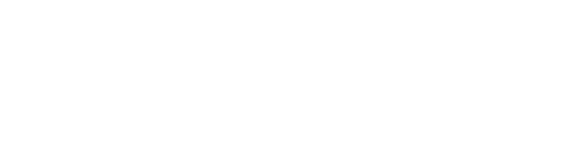 Bolt.new