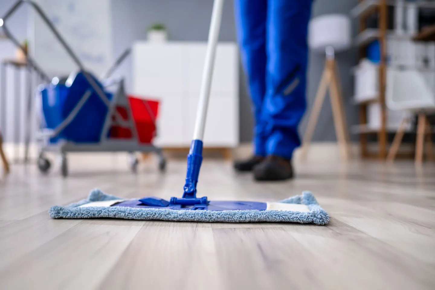 wohnungsreinigung firma in lyss