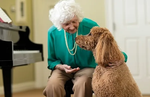 Residents playing the piano, Village at Woods Edge