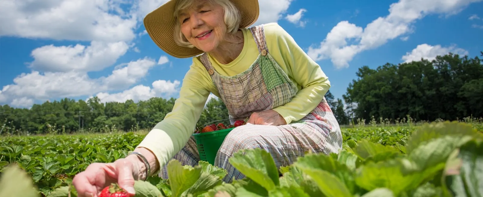 Testimonials at The Village at Woods Edge.