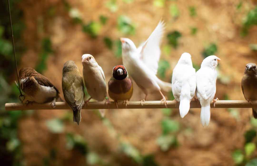 The Village at Woods Edge
Retirement Community
Independent Living
Franklin, VA