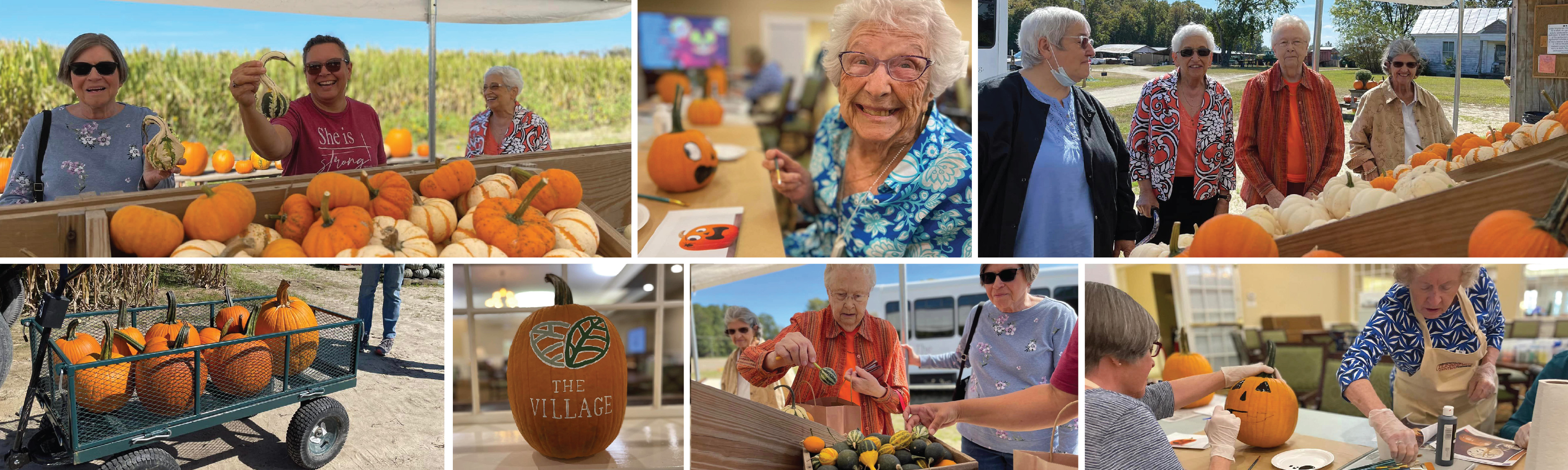 Autumn Activities for Senior Wellness