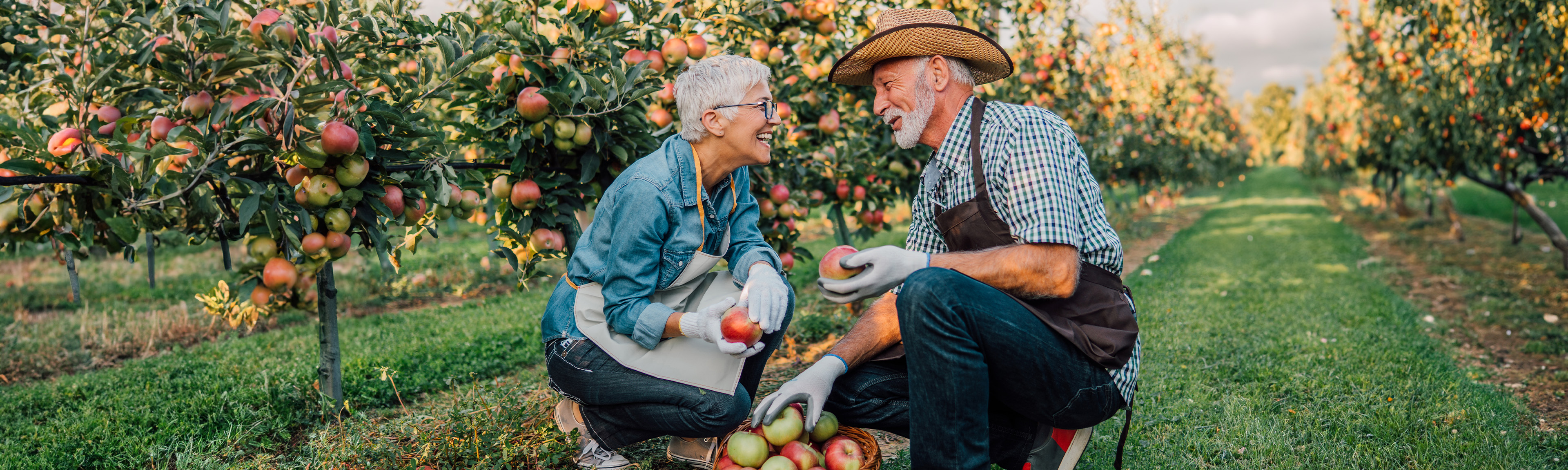 Fall Activities For Seniors