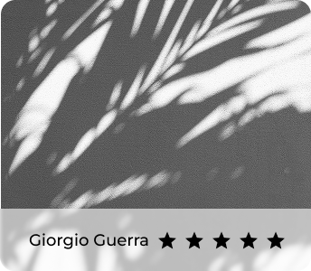 5 star review and profile image