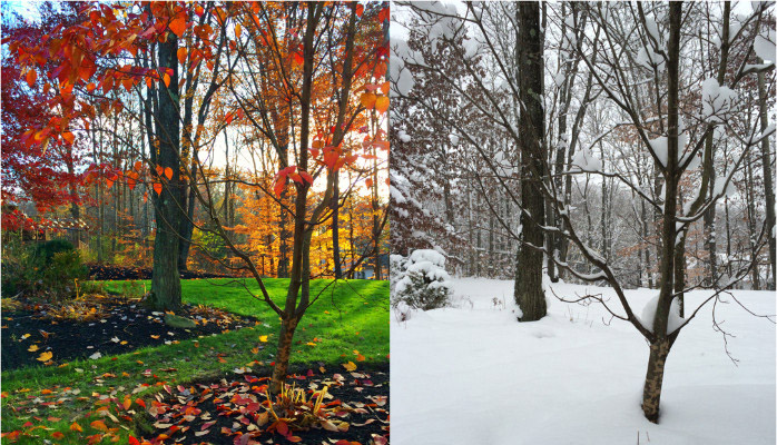 image of studio atmosphere (game development company)