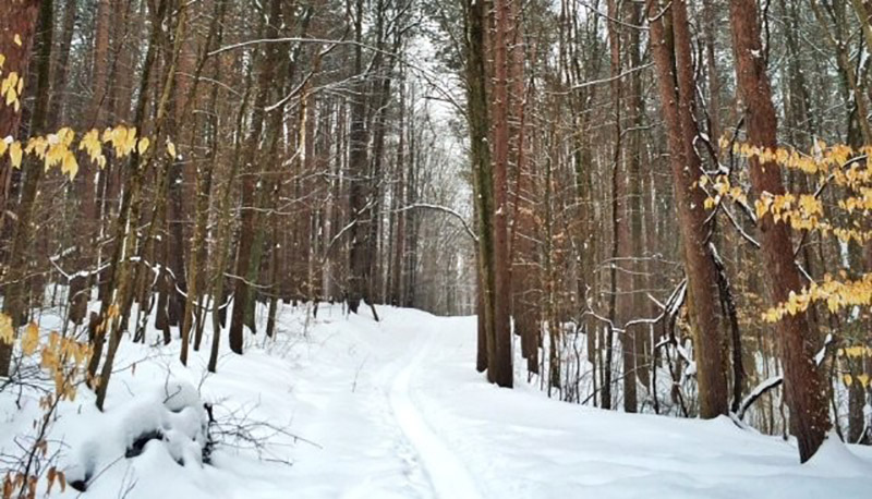 image of studio atmosphere (game development company)