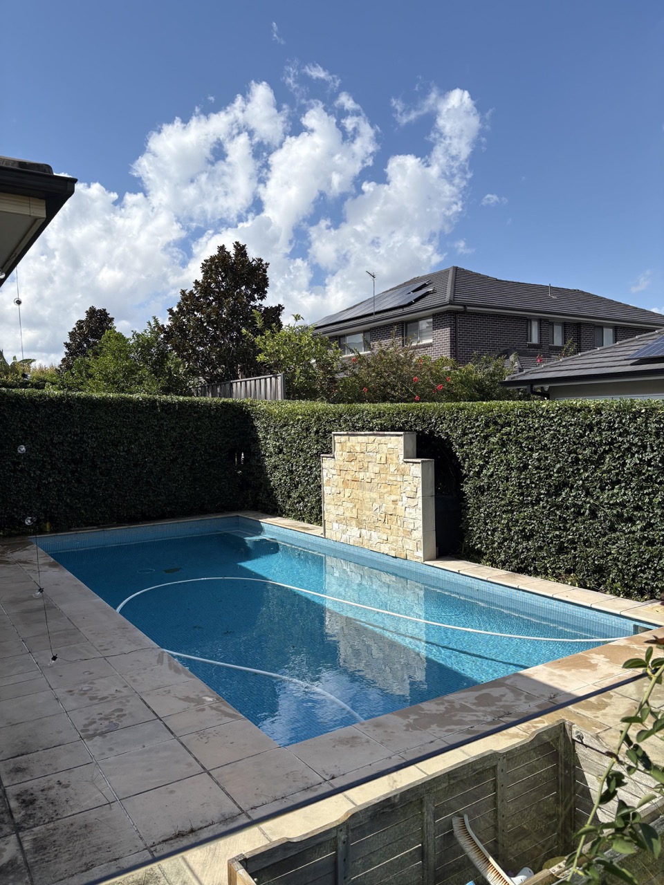 Hedging around a pool freshly cut