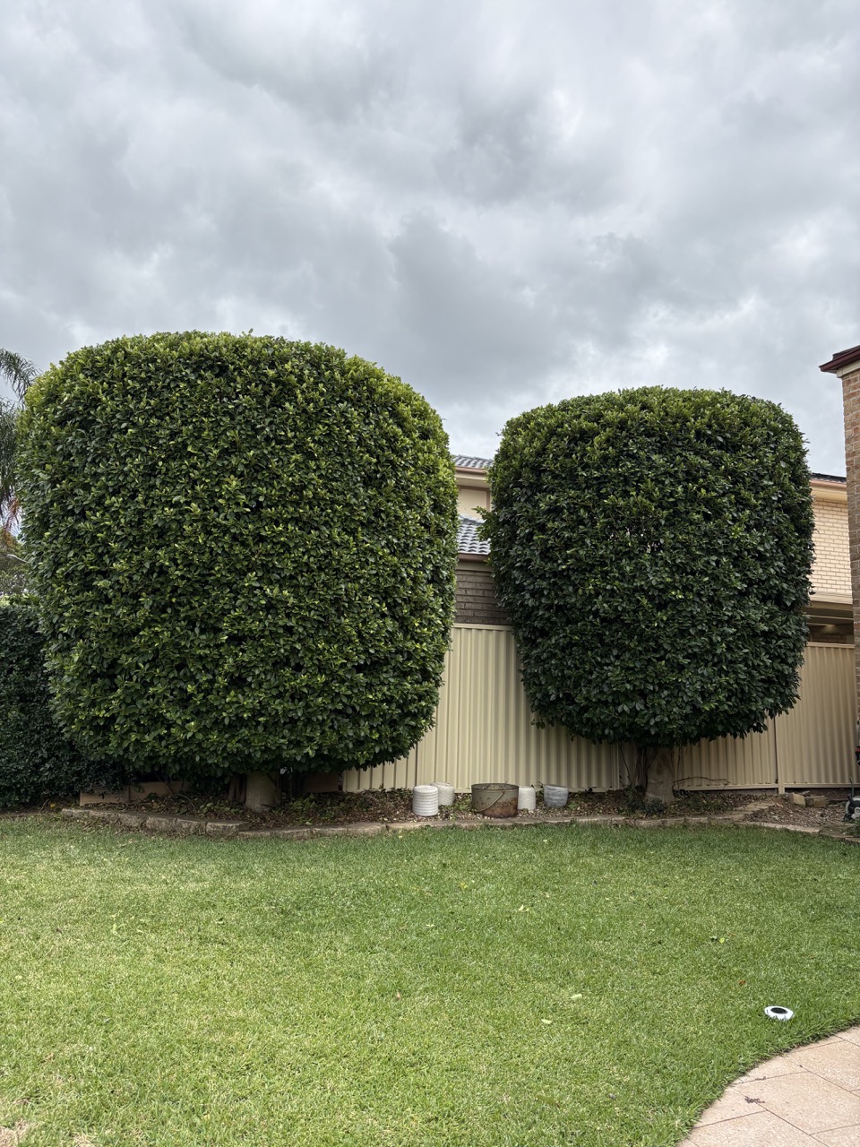 image of a lush green lawn (for a landscaping service)
