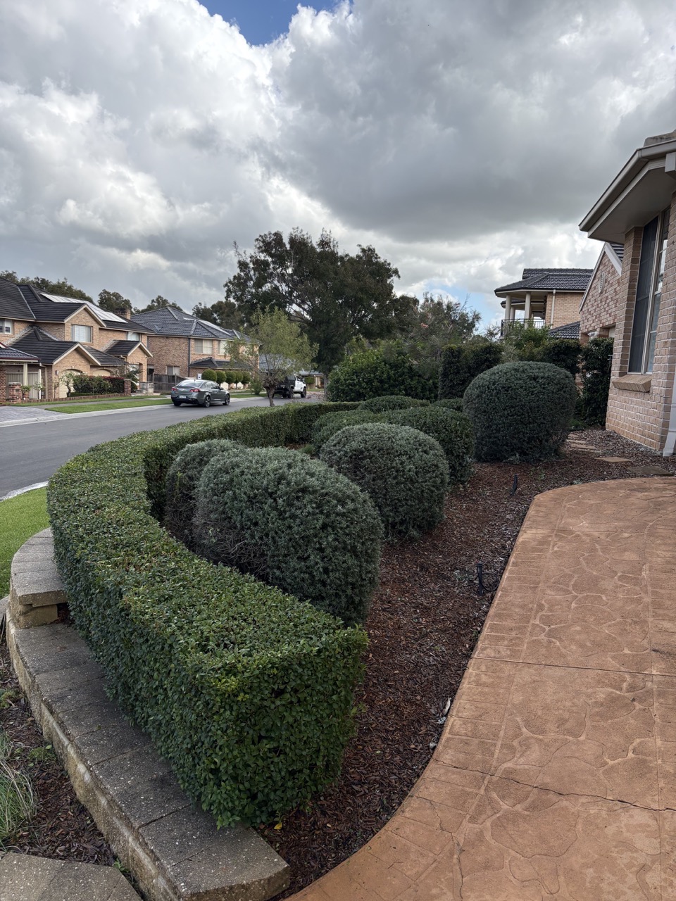image of a lush green lawn (for a landscaping service)