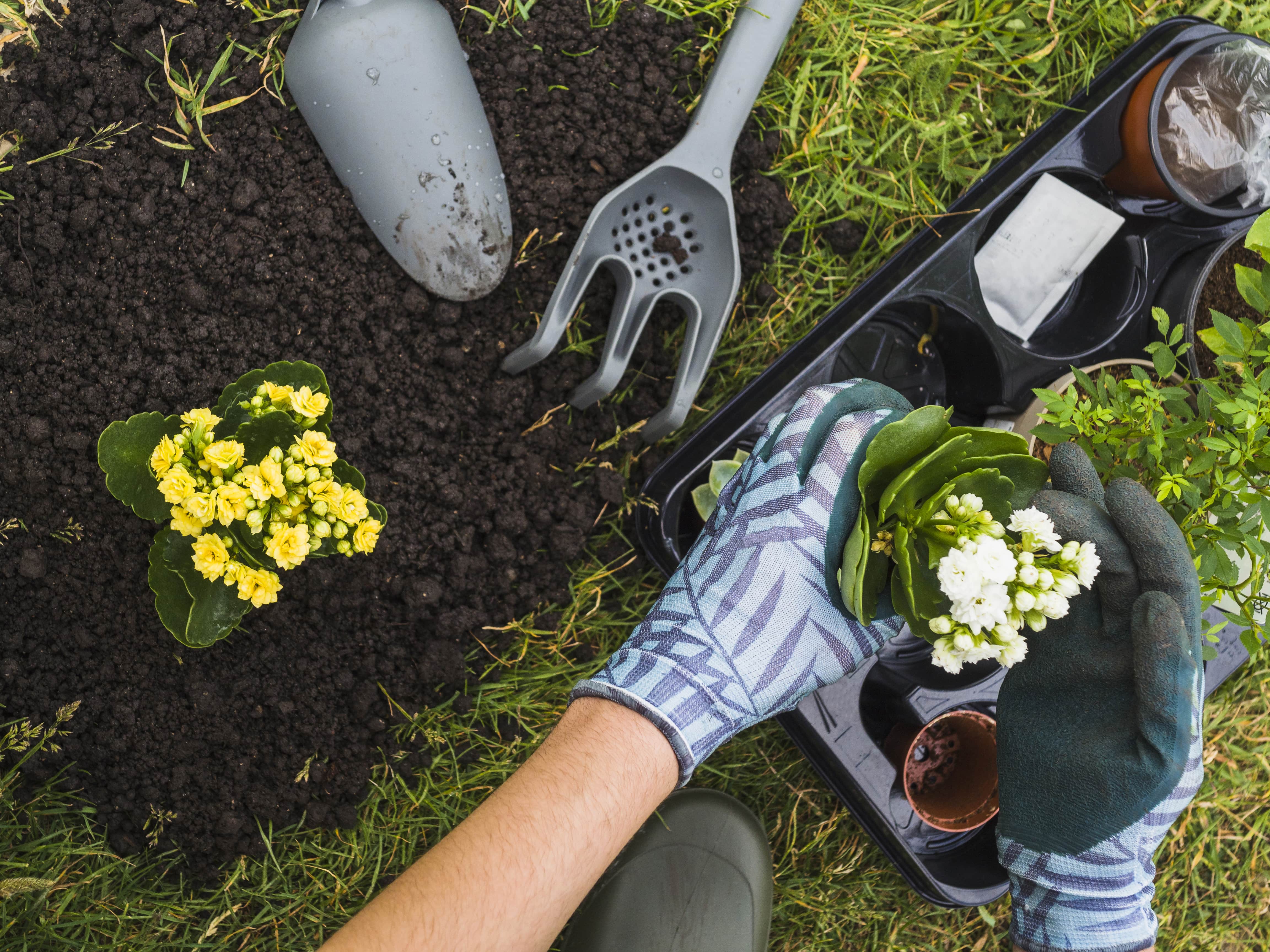 Moderner Garten & Landschaftsbau in Brande-Hörnerkirchen, gepflegte Grünanlagen für Privat und Gewerbekunden