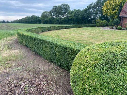 Professionell angelegter Garten mit Blumenbeeten und Gehwegen – Tiedemann Garten- & Landschaftsbau Schleswig-Holstein