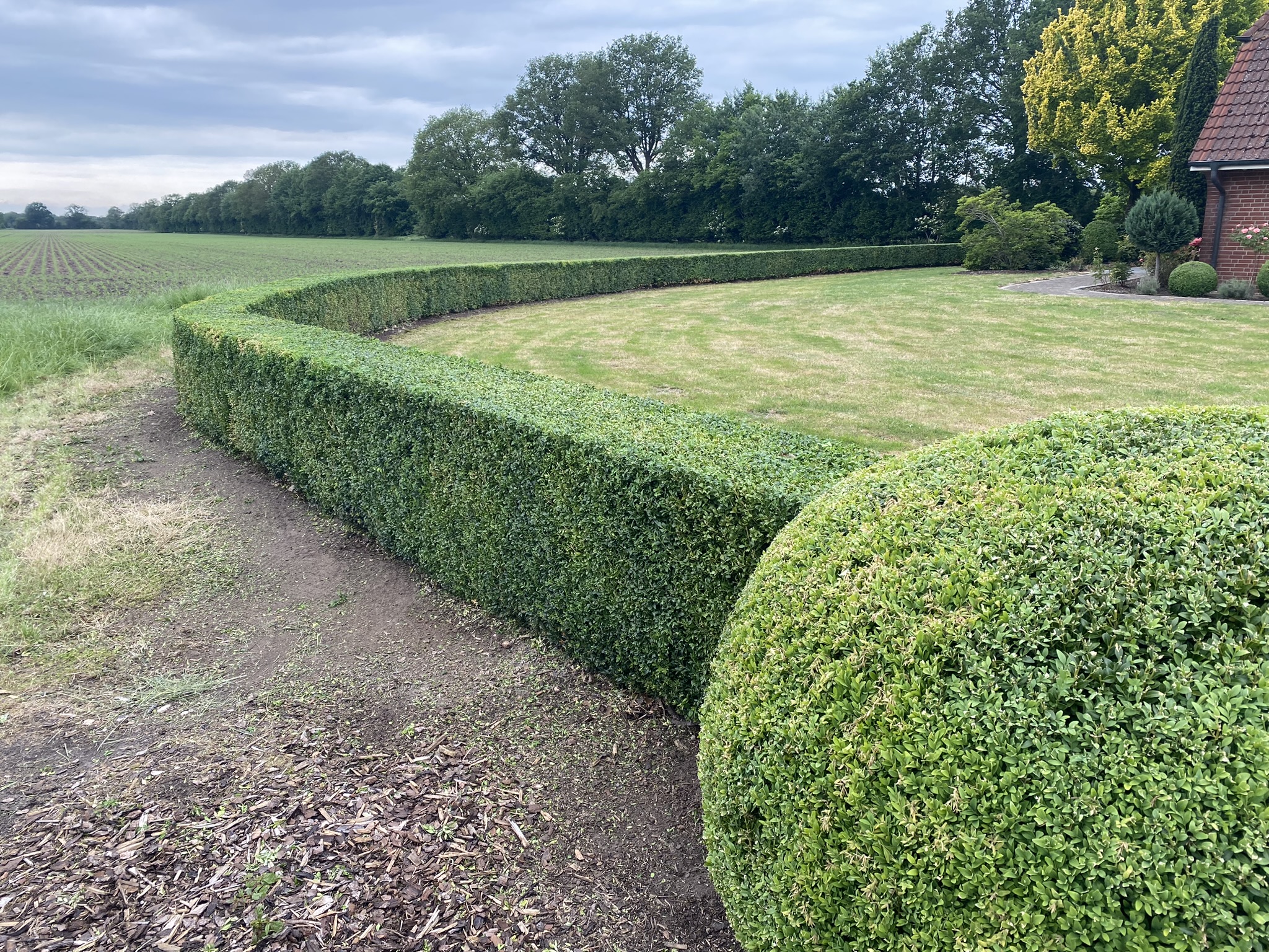 Professionell angelegter Garten mit Blumenbeeten und Gehwegen – Tiedemann Garten- & Landschaftsbau Schleswig-Holstein