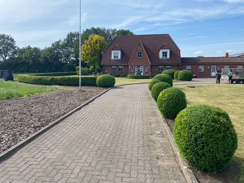Gepflegte Garten- und Landschaftsgestaltung vor modernem Wohnhaus in Schleswig-Holstein – Tiedemann Gartenbau