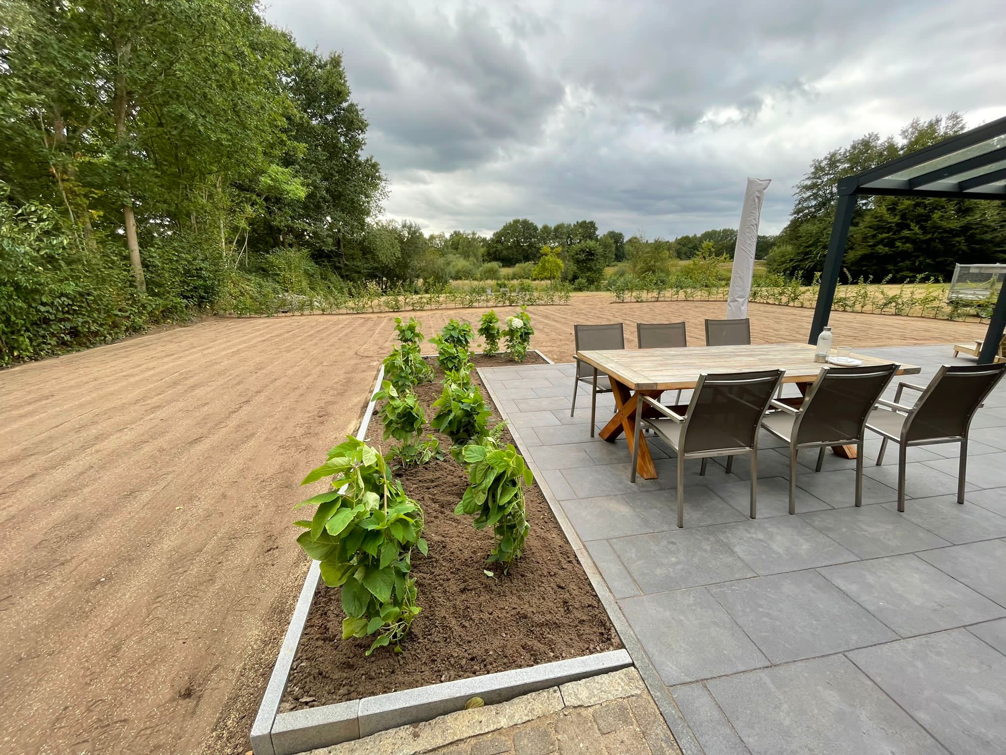 Gartenanlage mit gepflegten Beeten und Hecken in Schleswig-Holstein – professionelle Gartengestaltung Tiedemann