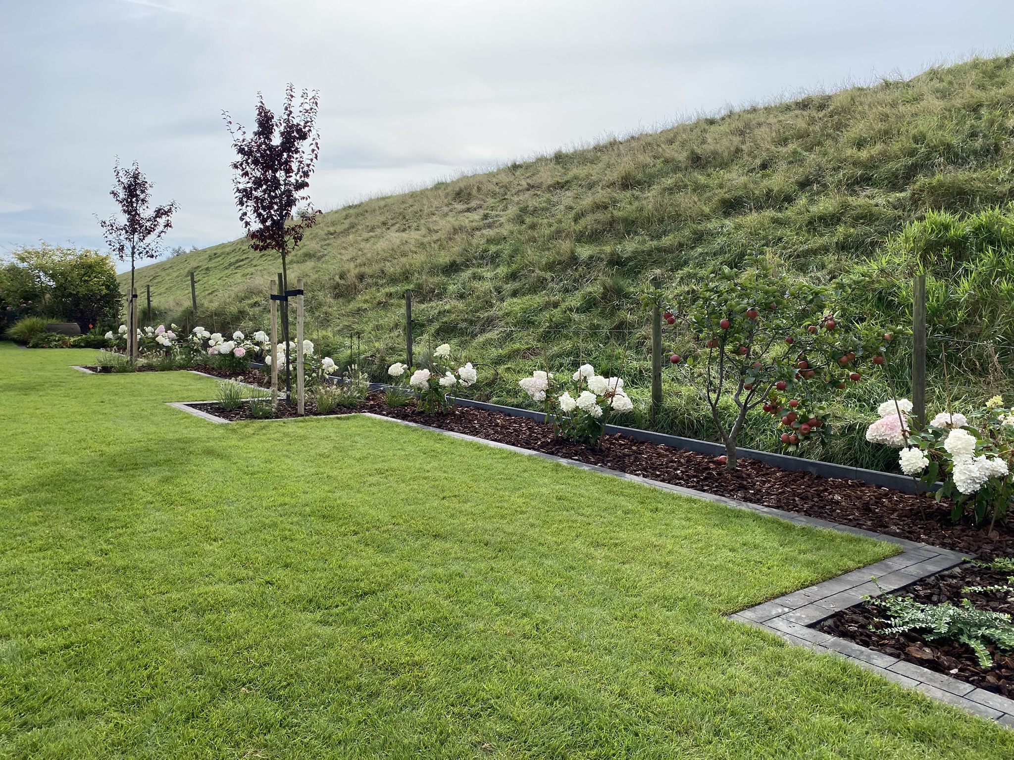 Gartenweg mit dichter Bepflanzung und Bäumen – kreative Gartengestaltung und Außenanlagenbau