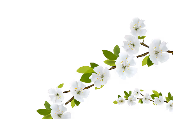 Decorative Flower Image