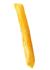 fries-image