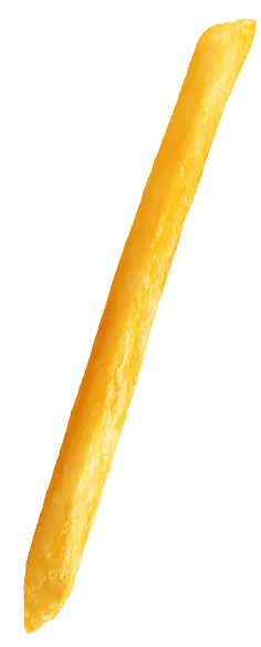 fries-image