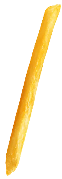 fries-image