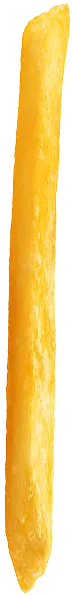 fries-image