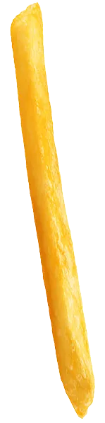 fries-image