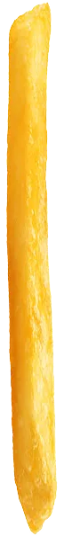 fries-image
