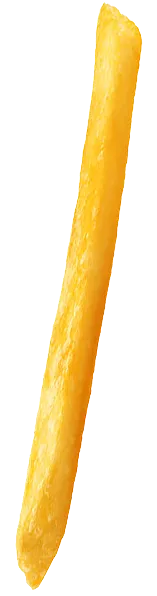 fries-image