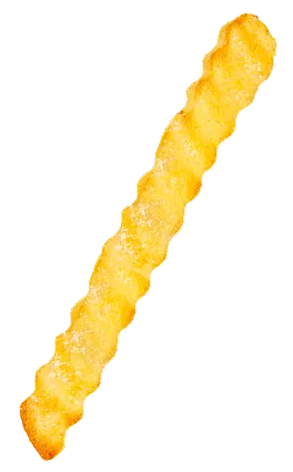fries-image