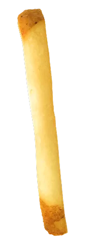 fries-image